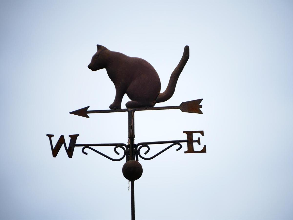 Chambres D'Hotes Le Secret Du Chat Cordes-sur-Ciel Exterior photo